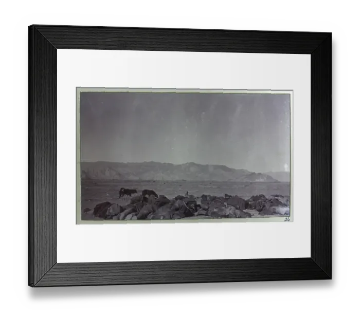 Framed Print : Photograph from a fascinating album which reveals new details on a little-known campaign in which a British military force brushed aside Tibetan defences to capture Lhasa, in 1904 Framed Print : Photograph from a fascinating album which reveals new details on a little-known campaign in which a British military force brushed aside Tibetan defences to capture Lhasa, in 1904