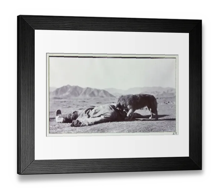 Framed Print : Photograph from a fascinating album which reveals new details on a little-known campaign in which a British military force brushed aside Tibetan defences to capture Lhasa, in 1904 Framed Print : Photograph from a fascinating album which reveals new details on a little-known campaign in which a British military force brushed aside Tibetan defences to capture Lhasa, in 1904