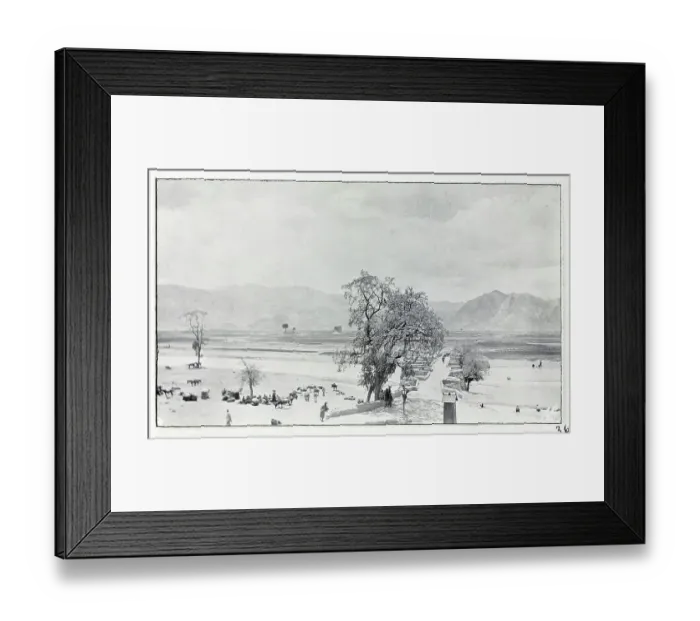 Framed Print : Photograph from a fascinating album which reveals new details on a little-known campaign in which a British military force brushed aside Tibetan defences to capture Lhasa, in 1904 Framed Print : Photograph from a fascinating album which reveals new details on a little-known campaign in which a British military force brushed aside Tibetan defences to capture Lhasa, in 1904