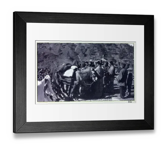 Framed Print : Photograph from a fascinating album which reveals new details on a little-known campaign in which a British military force brushed aside Tibetan defences to capture Lhasa, in 1904 Framed Print : Photograph from a fascinating album which reveals new details on a little-known campaign in which a British military force brushed aside Tibetan defences to capture Lhasa, in 1904
