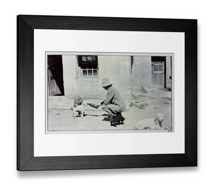 Framed Print : Photograph from a fascinating album which reveals new details on a little-known campaign in which a British military force brushed aside Tibetan defences to capture Lhasa, in 1904 Framed Print : Photograph from a fascinating album which reveals new details on a little-known campaign in which a British military force brushed aside Tibetan defences to capture Lhasa, in 1904