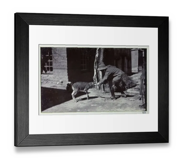 Framed Print : Photograph from a fascinating album which reveals new details on a little-known campaign in which a British military force brushed aside Tibetan defences to capture Lhasa, in 1904 Framed Print : Photograph from a fascinating album which reveals new details on a little-known campaign in which a British military force brushed aside Tibetan defences to capture Lhasa, in 1904