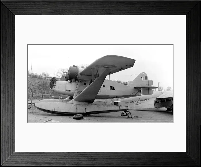 Framed Print : Bellanca 77-320 Junior Framed Print : Bellanca 77-320 Junior