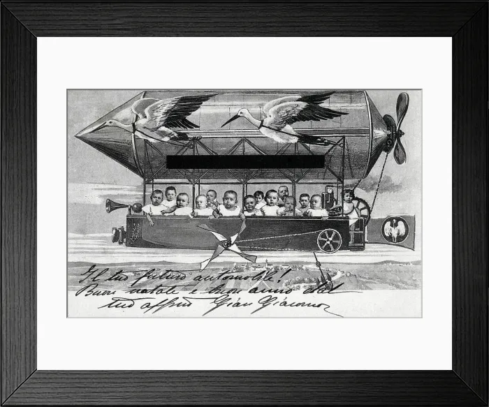Framed Print : Stork-powered baby transport! Framed Print : Stork-powered baby transport!
