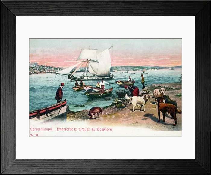 Framed Print : Small boats ferrying folk from the Asian side of Bosphorus Framed Print : Small boats ferrying folk from the Asian side of Bosphorus