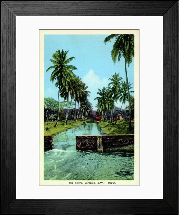 Framed Print : Rio Cobre River, Jamaica, West Indies Framed Print : Rio Cobre River, Jamaica, West Indies