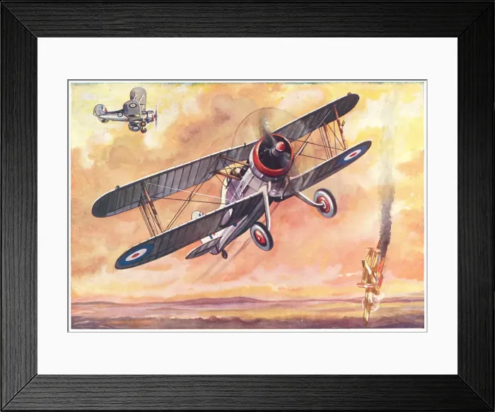 Framed Print : 13808352 Framed Print : 13808352