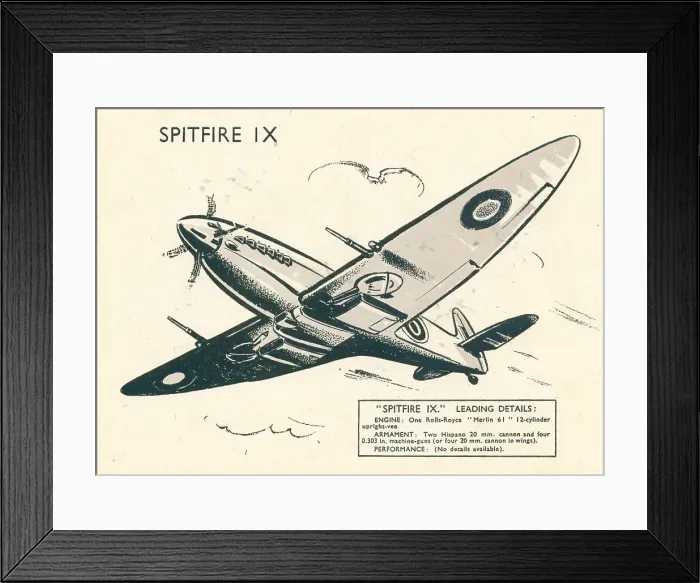 Framed Print : 13808395 Framed Print : 13808395