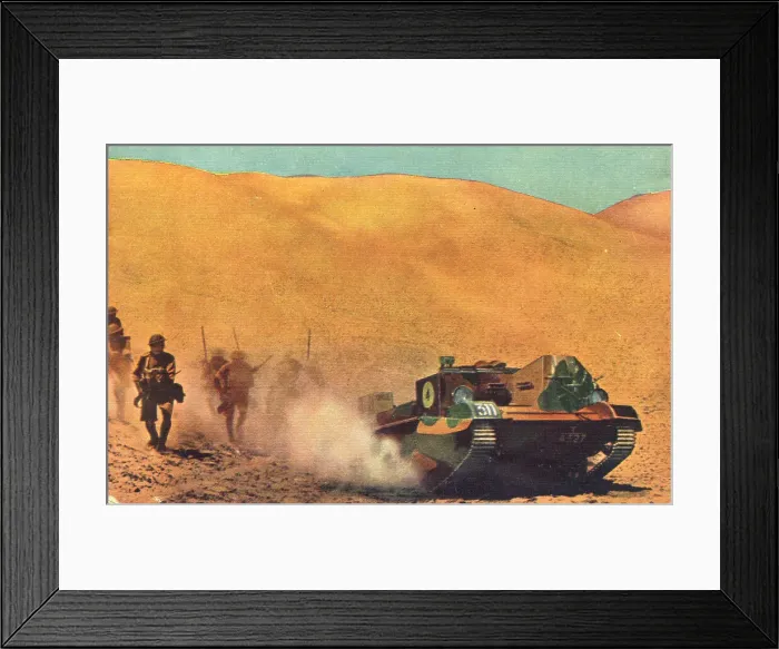 Framed Print : 13808430 Framed Print : 13808430