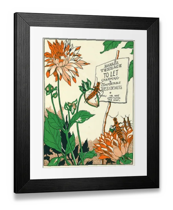 Framed Print : Dahlia Terrace Framed Print : Dahlia Terrace