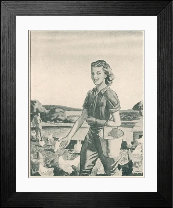 Framed Print : 13808646 Framed Print : 13808646