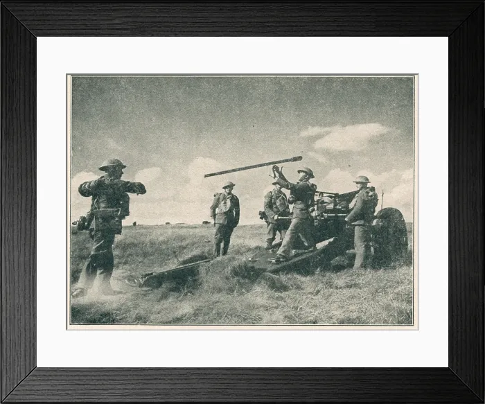 Framed Print : 13808678 Framed Print : 13808678