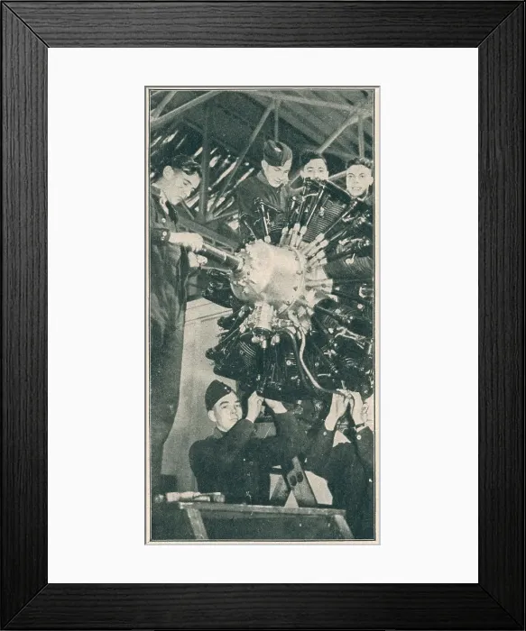 Framed Print : 13808699