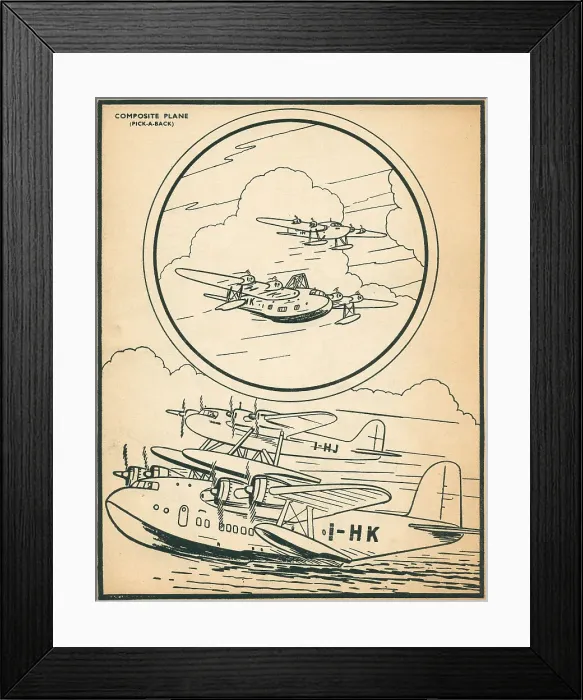 Framed Print : 13808945
