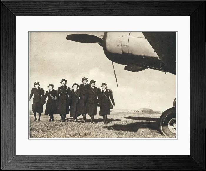 Framed Print : 13809068 Framed Print : 13809068
