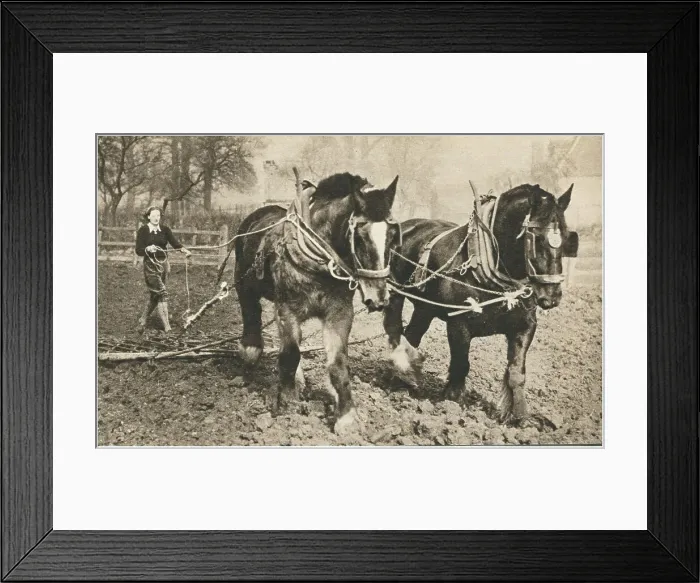 Framed Print : 13809077 Framed Print : 13809077