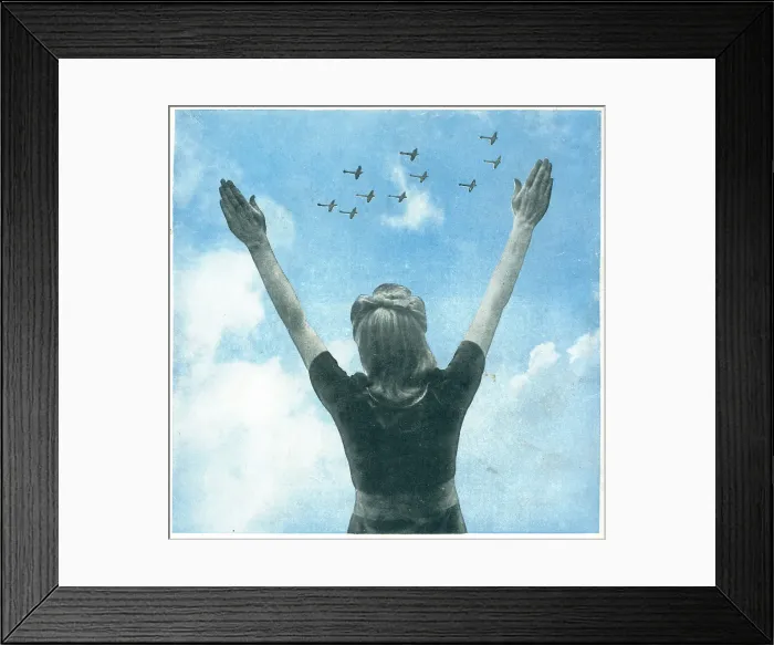 Framed Print : 13809099 Framed Print : 13809099