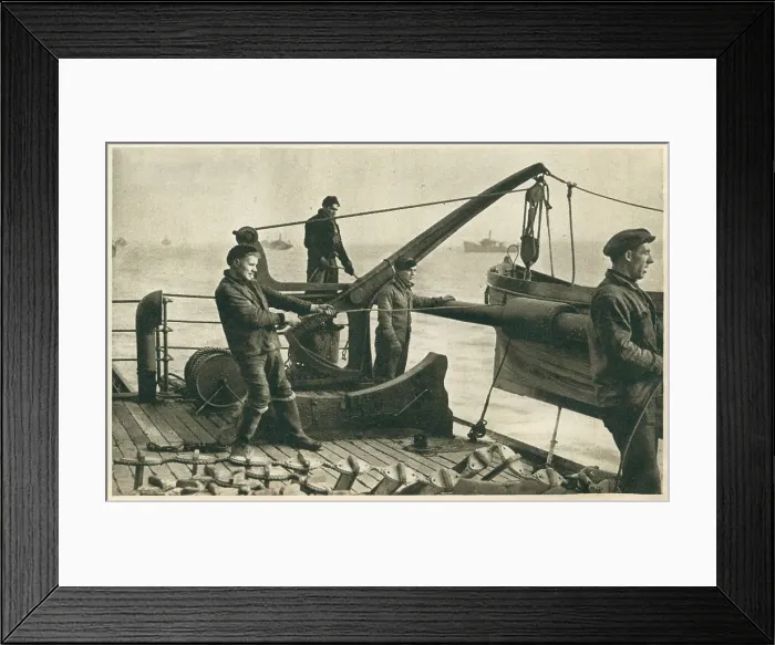 Framed Print : 13809212 Framed Print : 13809212