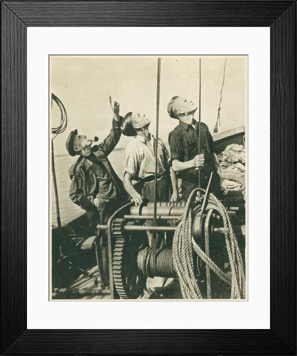 Framed Print : 13809215 Framed Print : 13809215