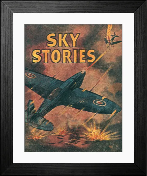 Framed Print : 13809222 Framed Print : 13809222