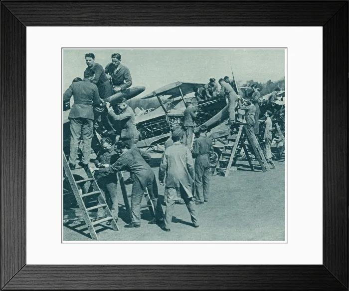 Framed Print : 13809268 Framed Print : 13809268