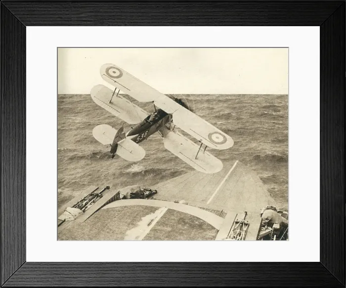 Framed Print : 13809276 Framed Print : 13809276