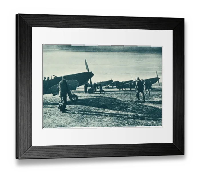 Framed Print : 13809280 Framed Print : 13809280