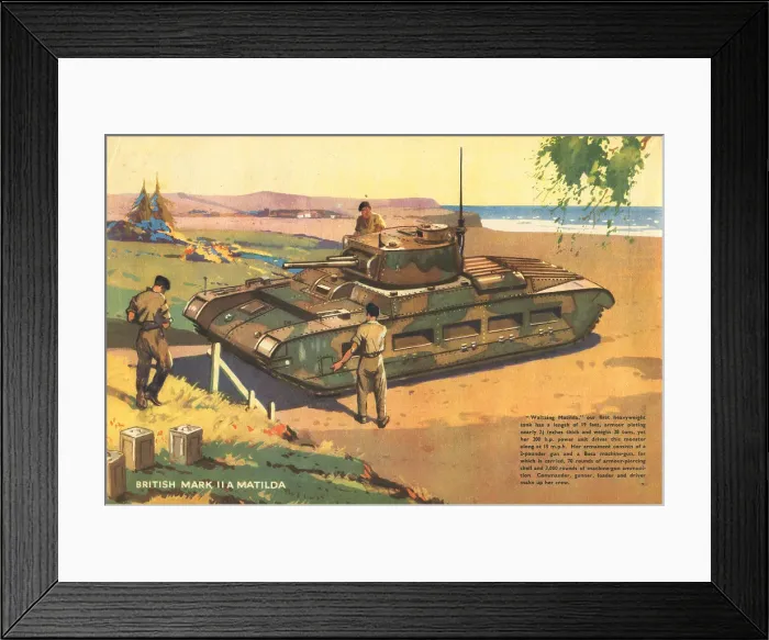 Framed Print : 13809306 Framed Print : 13809306