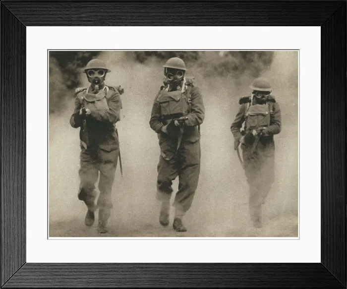 Framed Print : 13809372 Framed Print : 13809372