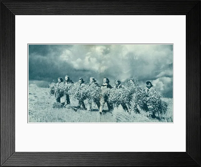 Framed Print : 13809642 Framed Print : 13809642