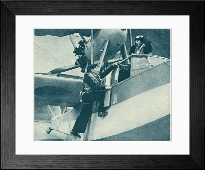 Framed Print : 13809788 Framed Print : 13809788