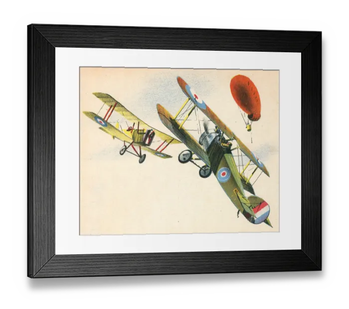 Framed Print : 13809880 Framed Print : 13809880