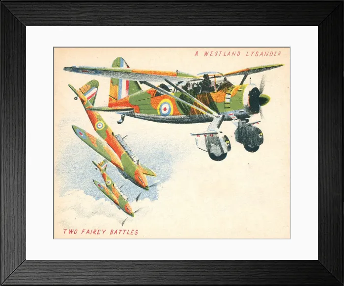 Framed Print : 13809883