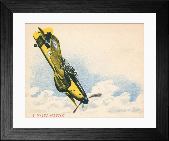 Framed Print : 13809882 Framed Print : 13809882