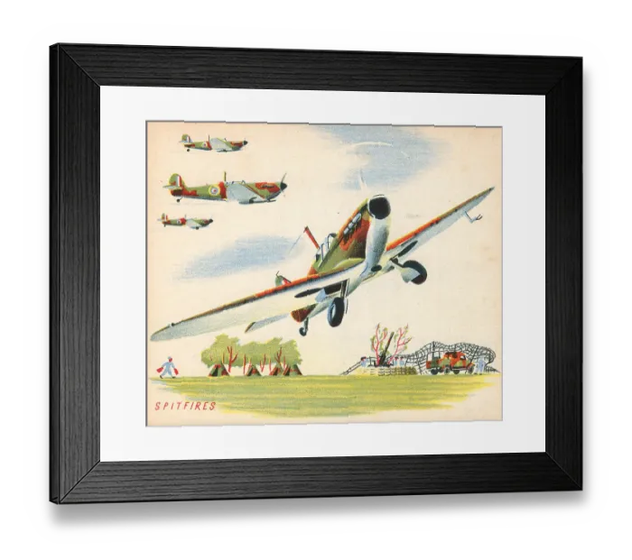 Framed Print : 13809889 Framed Print : 13809889