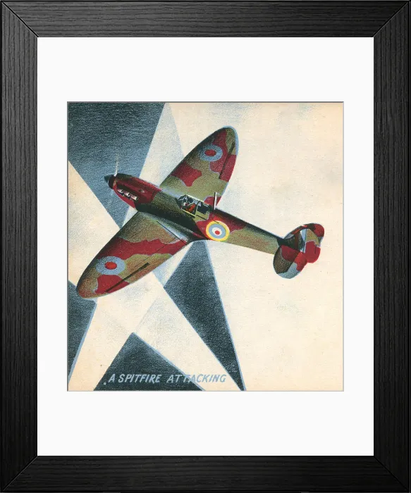 Framed Print : 13809891 Framed Print : 13809891