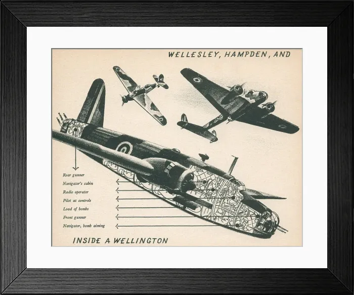 Framed Print : 13809893 Framed Print : 13809893