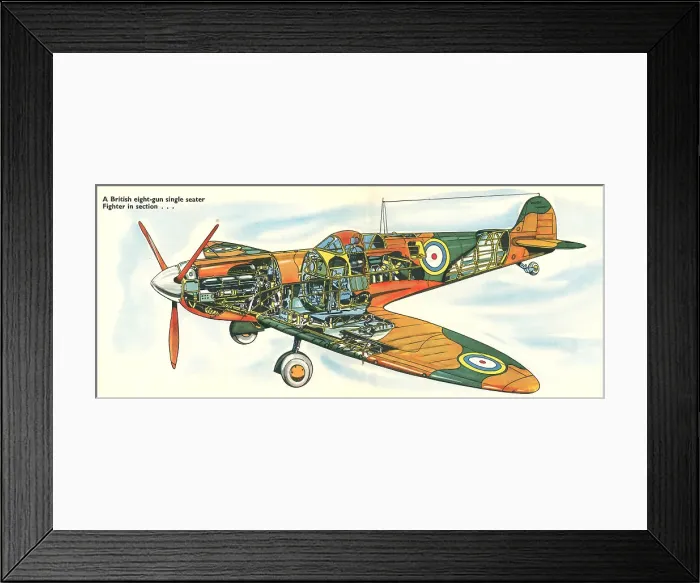 Framed Print : WW2 British Fighter Plane In Section