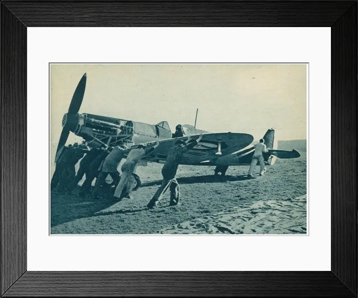 Framed Print : 13810070 Framed Print : 13810070