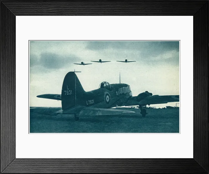 Framed Print : 13810076 Framed Print : 13810076