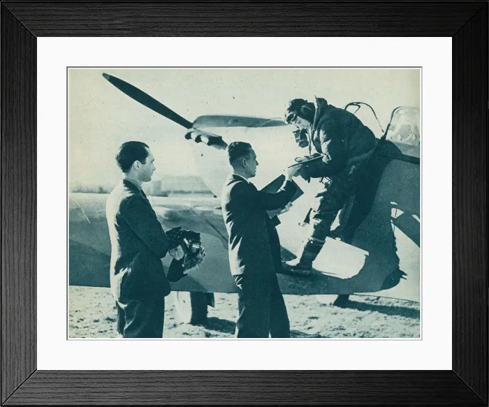 Framed Print : 13810075 Framed Print : 13810075