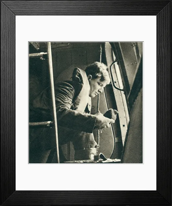 Framed Print : 13810079 Framed Print : 13810079