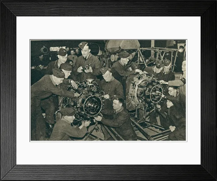 Framed Print : 13810086 Framed Print : 13810086