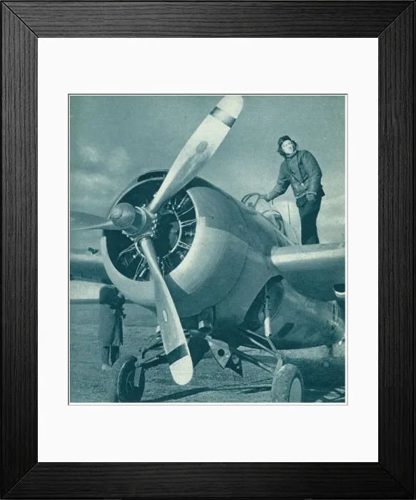 Framed Print : 13810089 Framed Print : 13810089