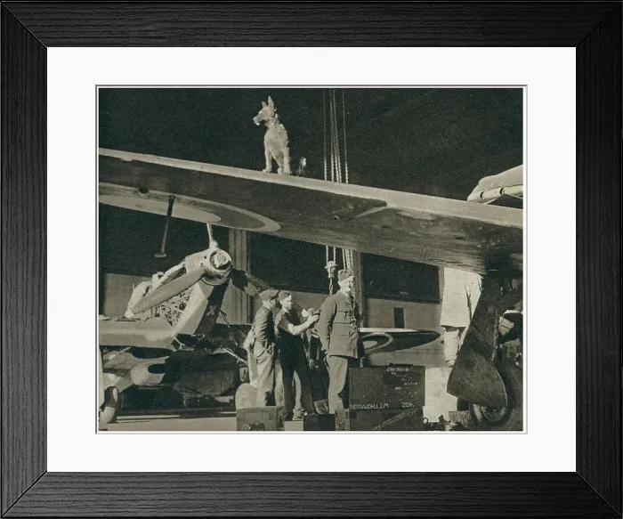 Framed Print : 13810090 Framed Print : 13810090