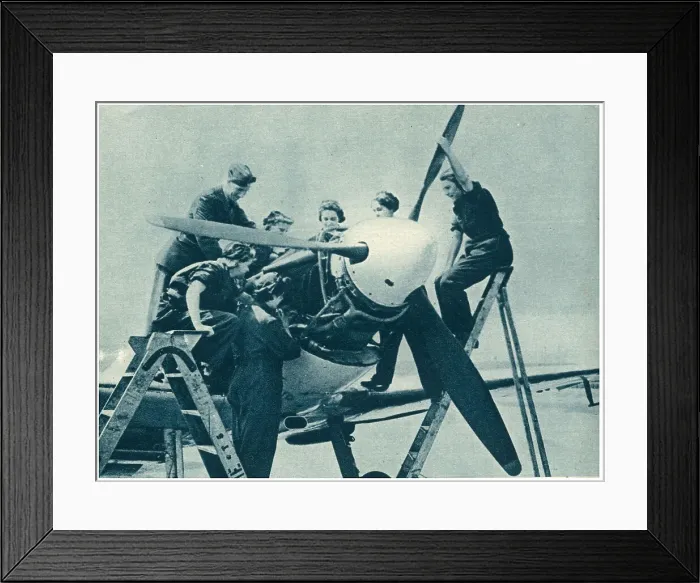 Framed Print : 13810121 Framed Print : 13810121