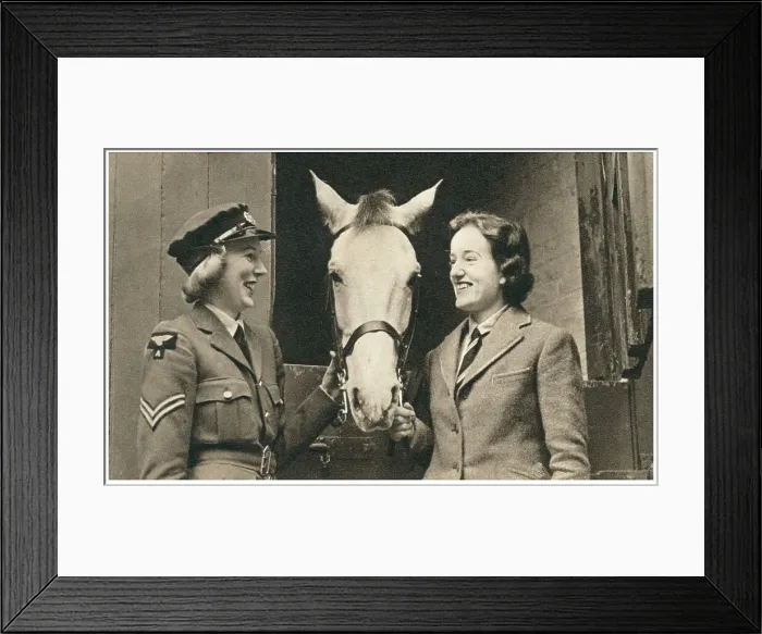 Framed Print : 13810120 Framed Print : 13810120