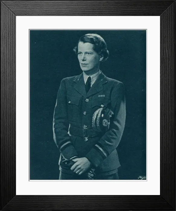 Framed Print : 13810137 Framed Print : 13810137