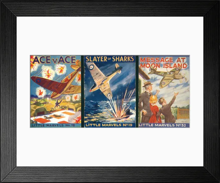 Framed Print : 13810139 Framed Print : 13810139