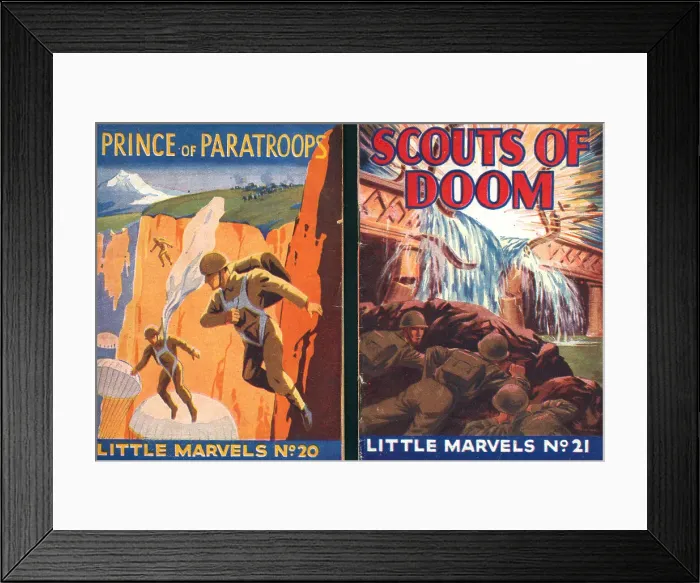 Framed Print : 13810140